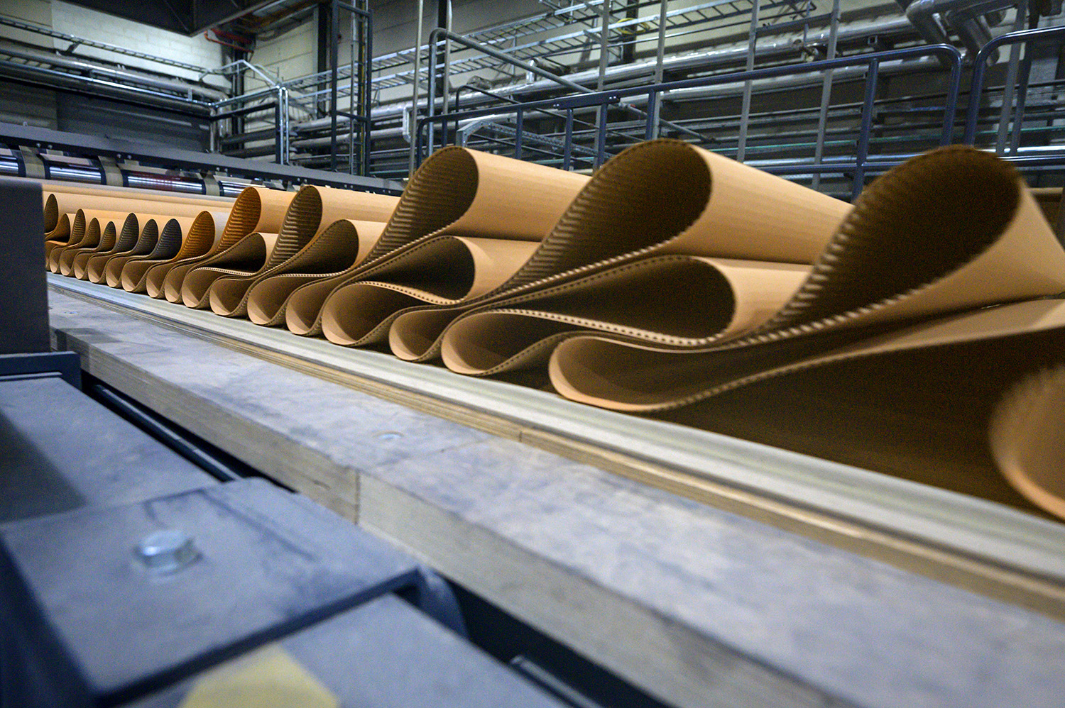 Arvato Systems_Fotografie Sommer_BHS Corrugated_1_tiny