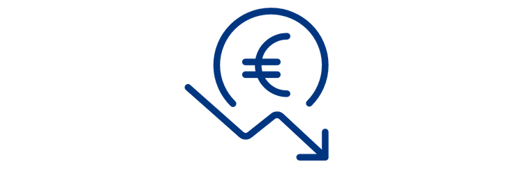 Icon Risiko und Kostenreduktion